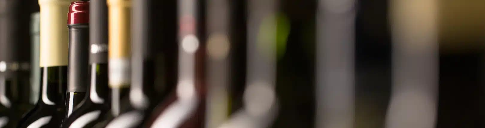 A rack of ageing wine bottles in the TerraVigna cellar